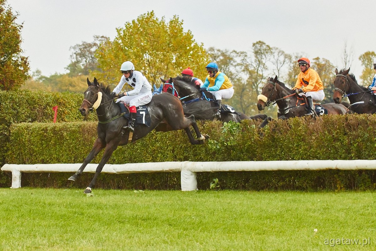 25/10/2020 // HORSERACING SEASON CONCLUSION