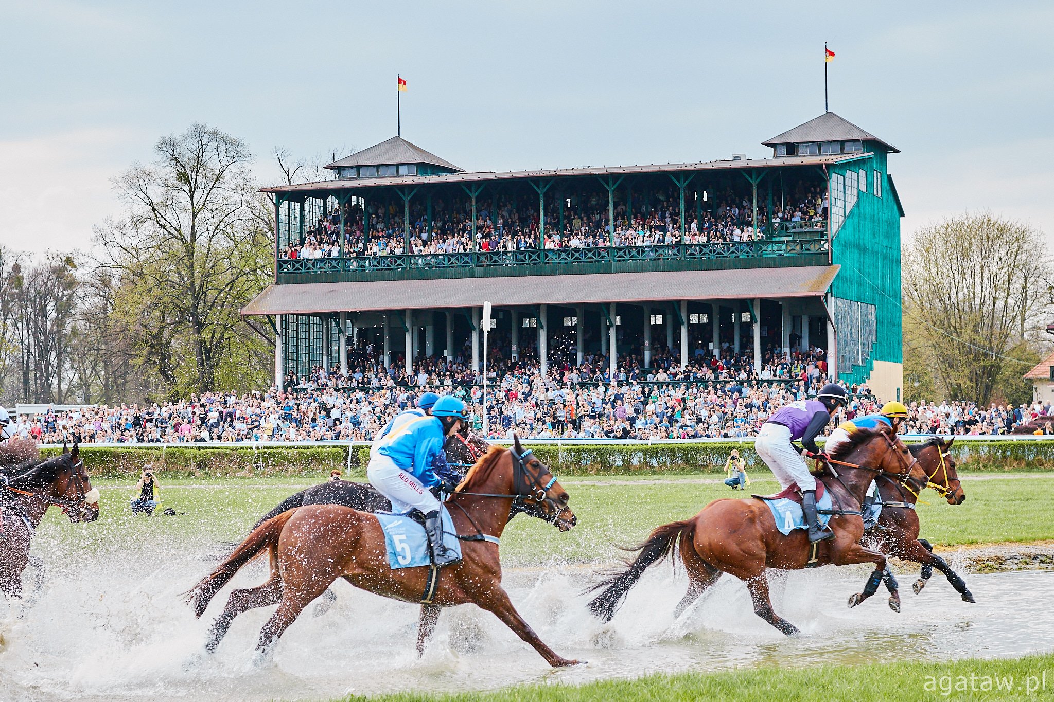 19/04/2020 // HORSERACING SEASON OPENING