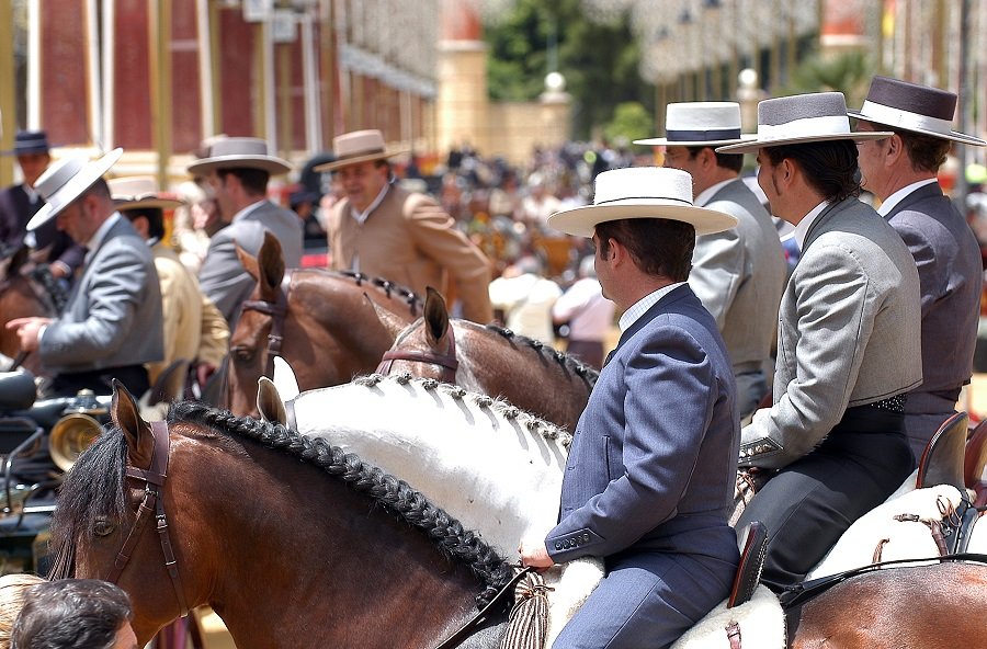 European Capital of Horses