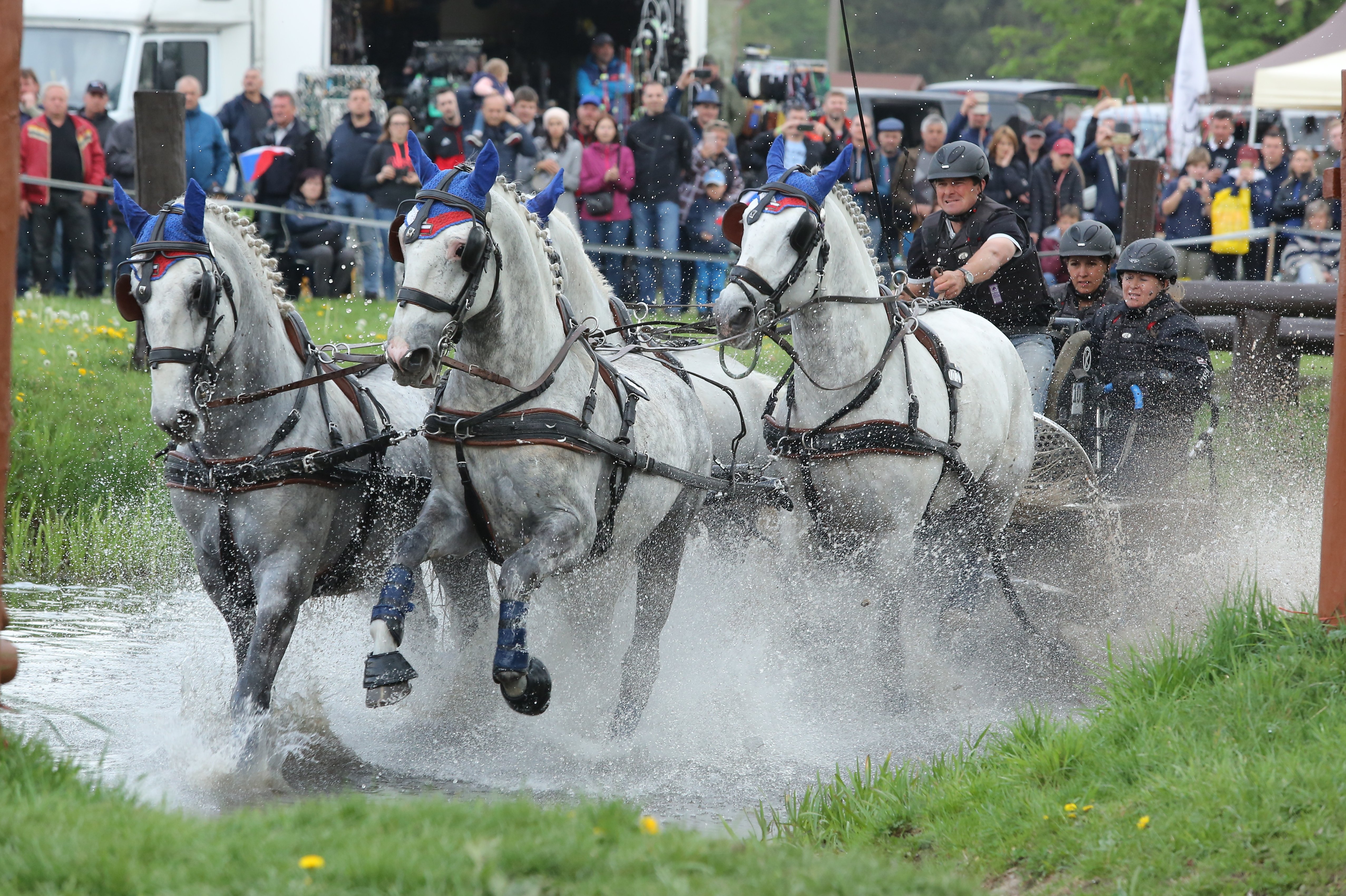 16–19/04/2020 // Rudolf cup - International Driving Event