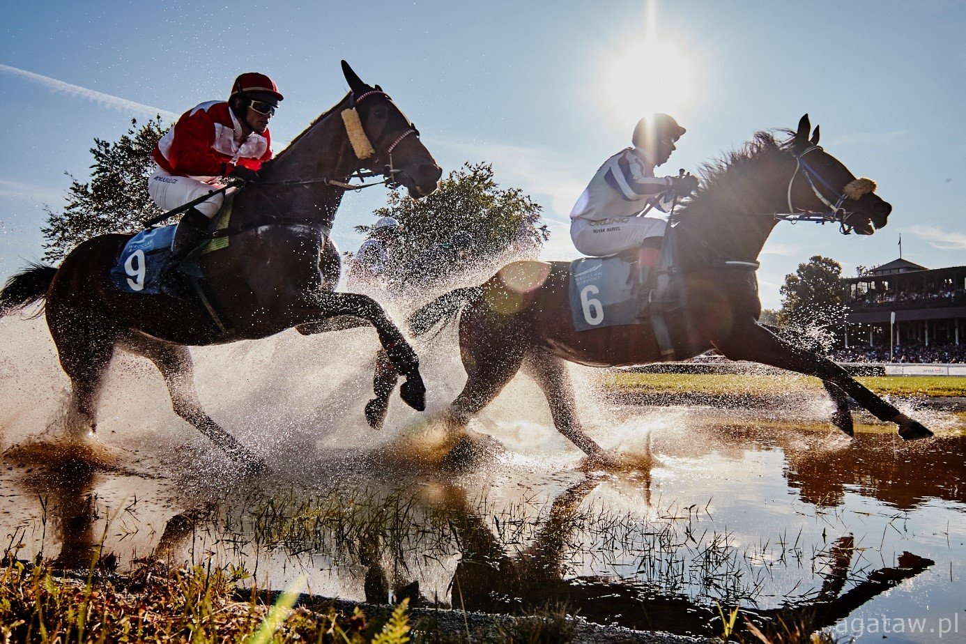 23/04/2023 // HORSE RACING SEASON OPENING