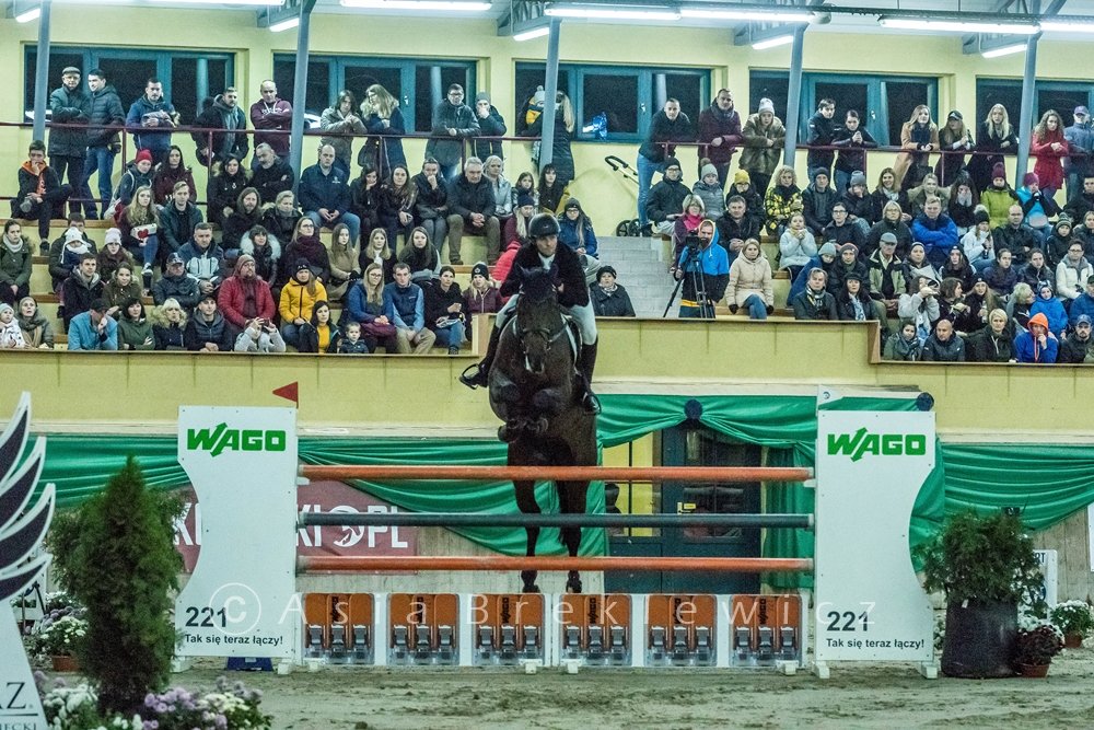06-08/11/2020 // INTERNATIONAL SHOWJUMPING CSI2*